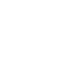 Perplexity AI