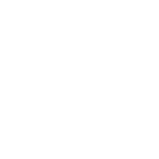 Icon of app anny